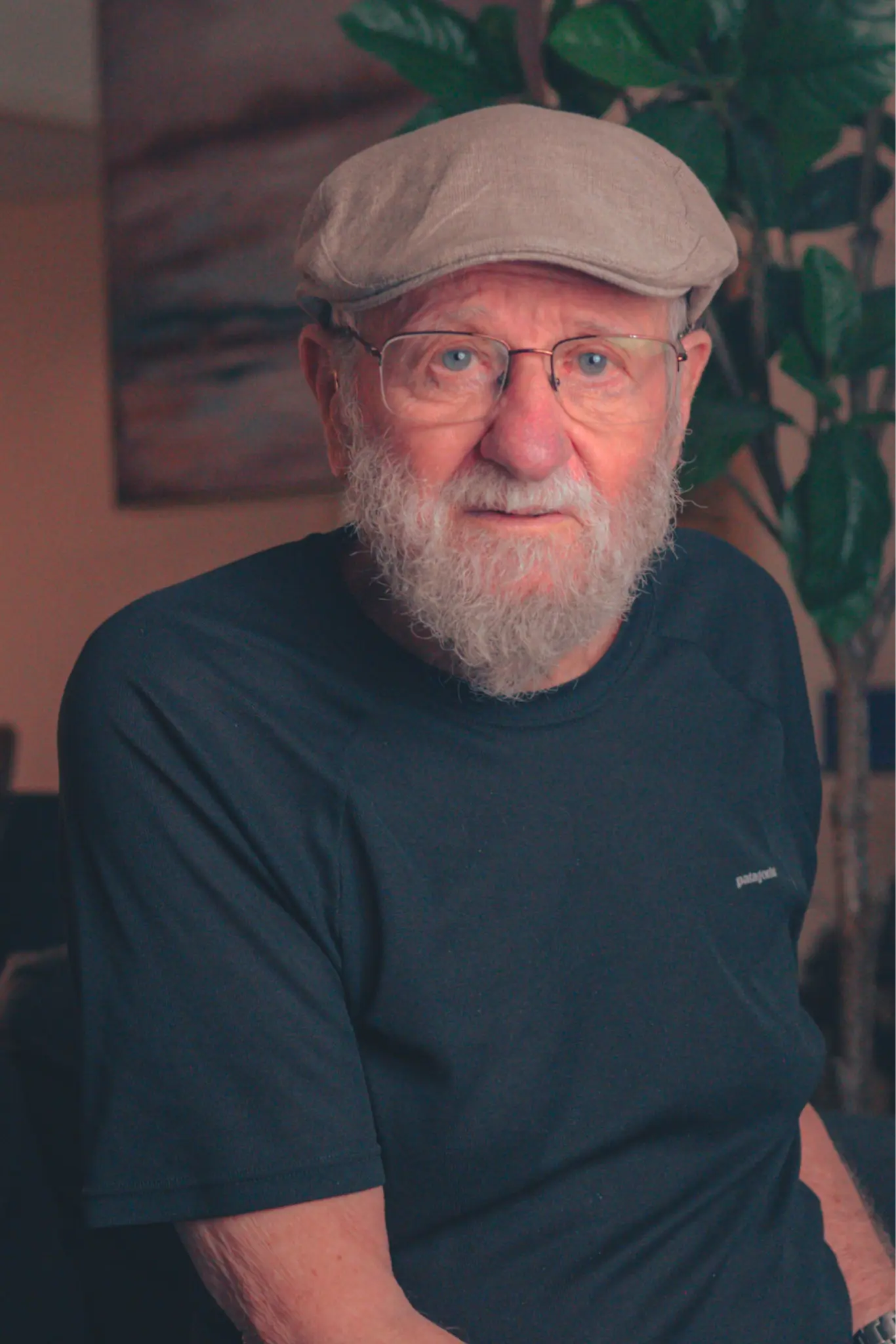 Don Norman